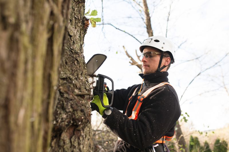 Professional Arborist Equipment