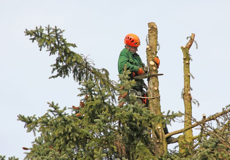 Tree Pruning Equipment